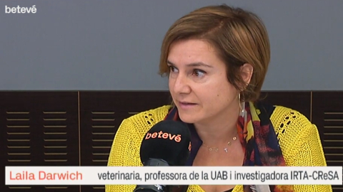 Informació xerrada